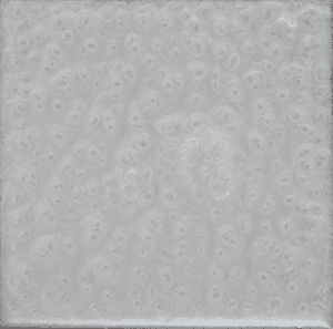 Bright White epoxy flake color swatch