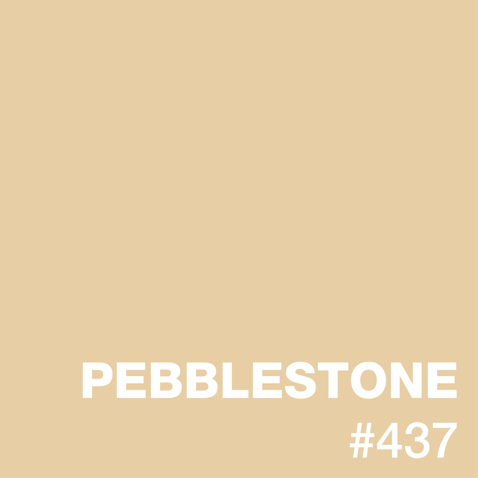 Pebblestone epoxy flake color swatch